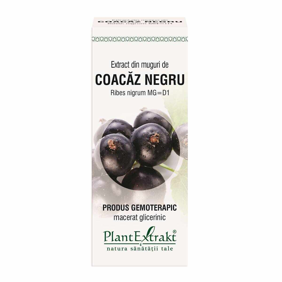 Coacaz Negru - muguri - gemoderivat - antialergic, antiinflamator - 50 ml - PlantExtrakt