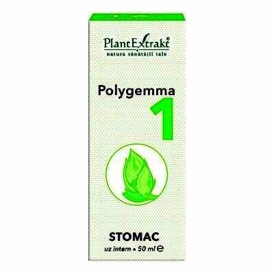 Polygemma 1 - Stomac 50ml Plantextrakt
