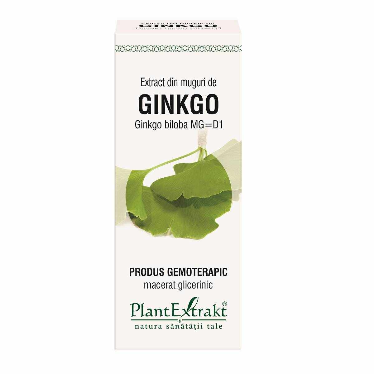 Ginkgo Biloba - muguri - gemoderivat - 50ml - PlantExtrakt