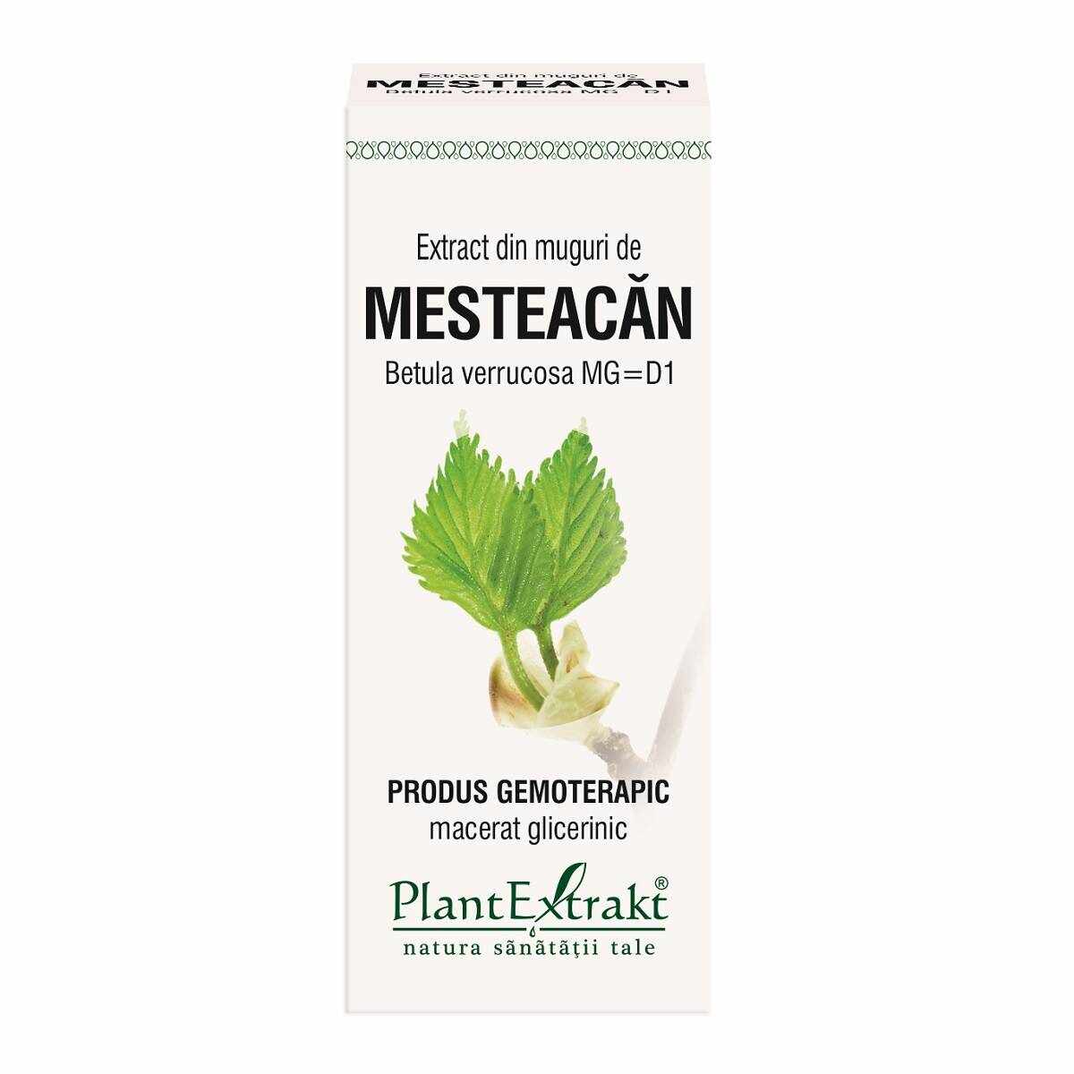MESTEACAN - muguri - gemoderivat - 50ml - PlantExtrakt