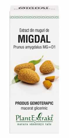 MIGDAL - muguri - gemoderivat - 50ml - PlantExtrakt