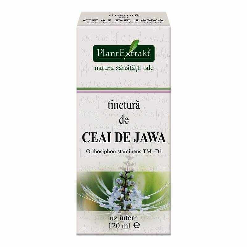 Tinctura de Ceai De Jawa - 120ml - PlantExtrakt