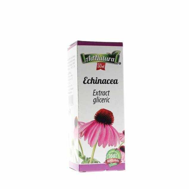 Extract Gliceric Echinaceea 50ml - Ad Natura