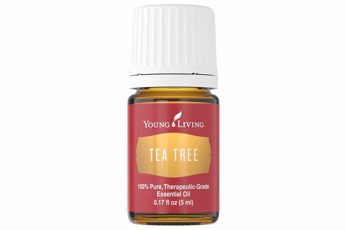 Ulei esential de Tea Tree essential oil, 5ml - Young Living