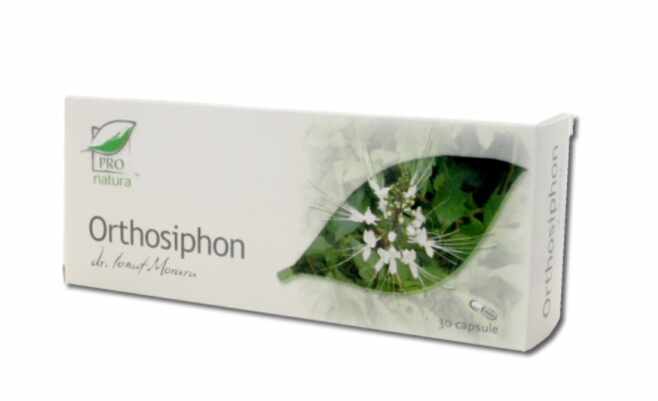 Orthosiphon, 200cps, 60cps si 30cps - MEDICA 60 capsule