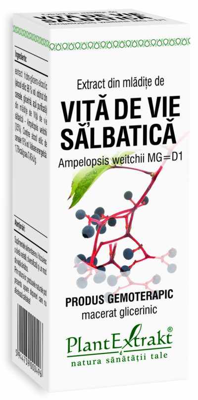 Extract din mladite de vita de vie salbatica, 50 ml, plantextrakt