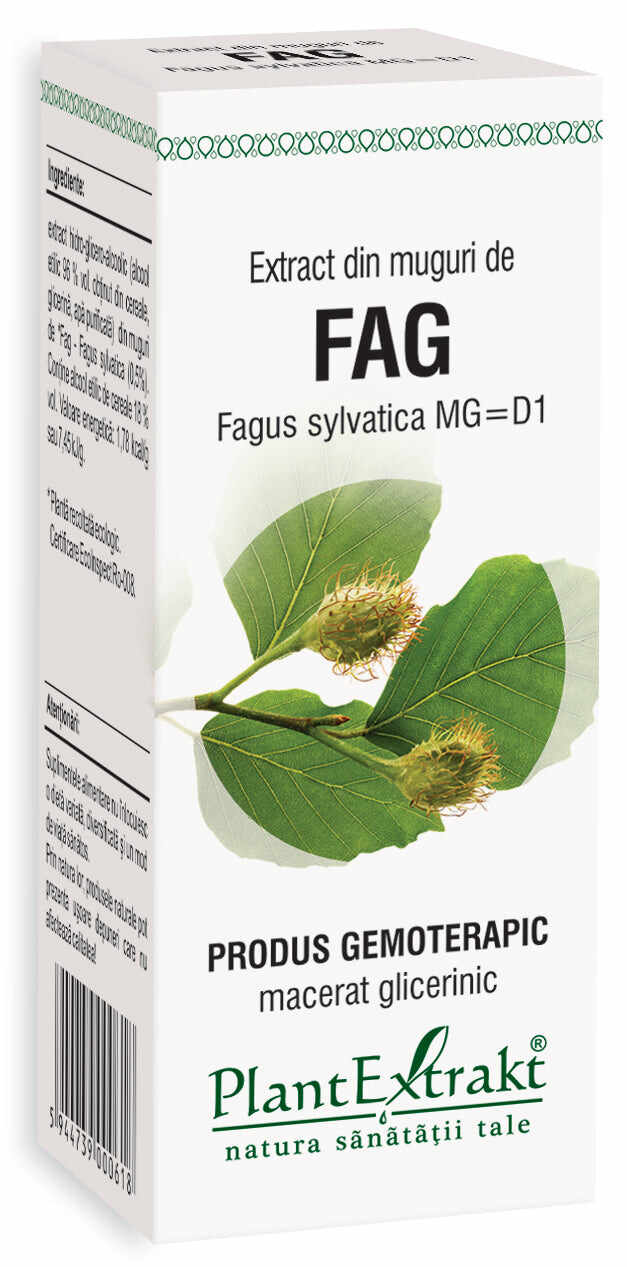 Extract din muguri de fag, 50 ml, plantextrakt